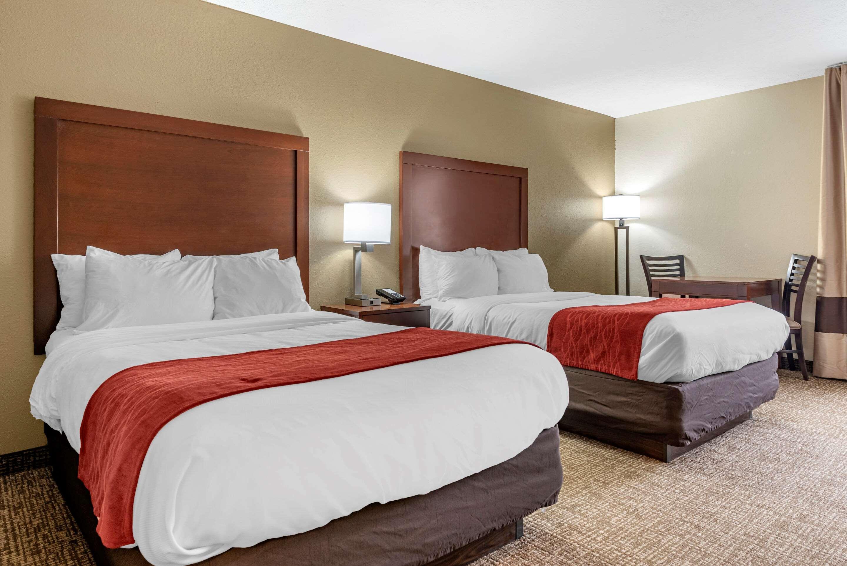 Comfort Inn & Suites Cincinnati Eastgate Bagian luar foto